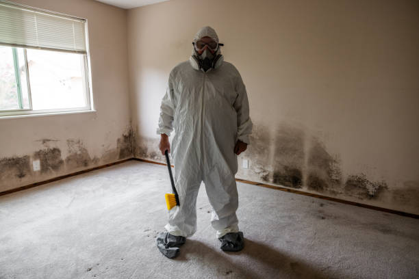 Crawl Space Mold Removal in Belton, MO